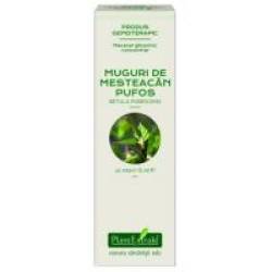 Extract concentrat din muguri de mesteacan pufos - betula pubescens mg 15ml PLANTEXTRAKT