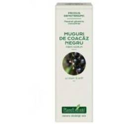 Extract concentrat din muguri de coacaz negru - ribes nigrum mg 15ml PLANTEXTRAKT