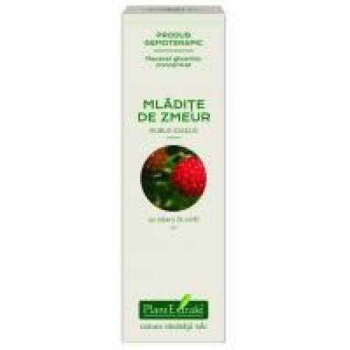Extract concentrat din mladite de zmeur - rubus idaeus mg 15ml PLANTEXTRAKT
