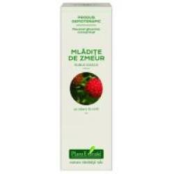 Extract concentrat din mladite de zmeur - rubus idaeus mg 15ml PLANTEXTRAKT