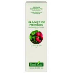 Extract concentrat din mladite de merisor - vaccinium vitis idaea mg 15ml PLANTEXTRAKT