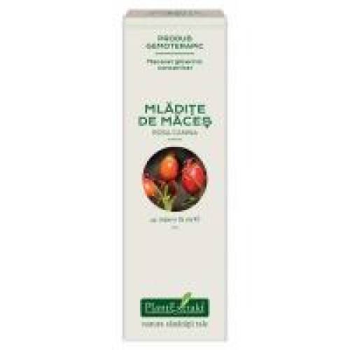 Extract concentrat din mladite de maces - rosa canina mg 15ml PLANTEXTRAKT