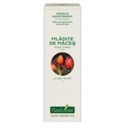 Extract concentrat din mladite de maces - rosa canina mg 15ml PLANTEXTRAKT