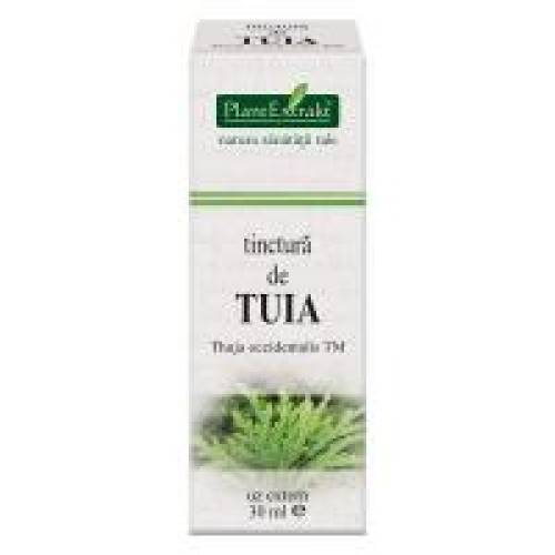 Tinctura de tuia - thuja occidentalis tm 30ml PLANTEXTRAKT
