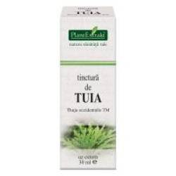 Tinctura de tuia - thuja occidentalis tm 30ml PLANTEXTRAKT