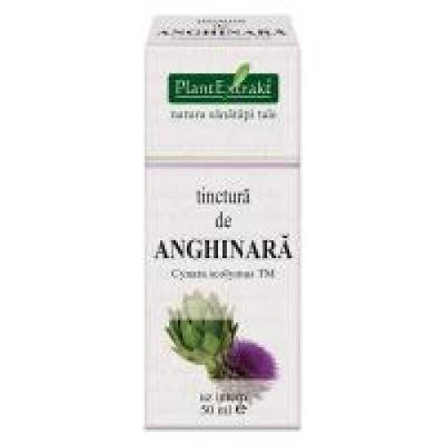 Tinctura de anghinara - cynara scolymus tm 50ml PLANTEXTRAKT