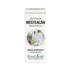 Extract din seva de mesteacan - betula linfa mg=d1 50ml PLANTEXTRAKT