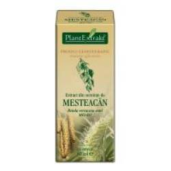 Extract din seminte de mesteacan - betula verrucosa semi mg=d1 50ml PLANTEXTRAKT