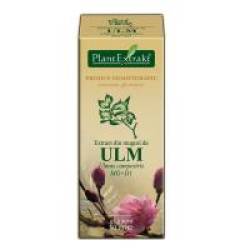 Extract din muguri de ulm - ulmus campestris mg=d1 50ml PLANTEXTRAKT