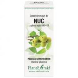 Extract din muguri de nuc - juglans regia mg=d1 50ml PLANTEXTRAKT