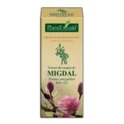 Extract din muguri de migdal - prunus amygdalus mg=d1 50ml PLANTEXTRAKT