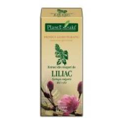 Extract din muguri de liliac - syringa vulgaris mg=d1 50ml PLANTEXTRAKT