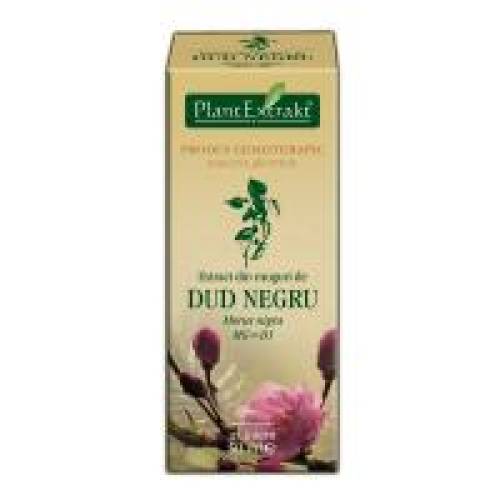 Extract din muguri de dud negru - morus nigra mg=d1 50ml PLANTEXTRAKT