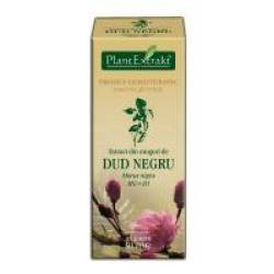 Extract din muguri de dud negru - morus nigra mg=d1 50ml PLANTEXTRAKT