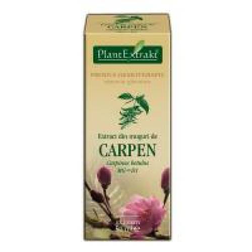 Extract din muguri de carpen - carpinus betulus mg=d1 50ml PLANTEXTRAKT