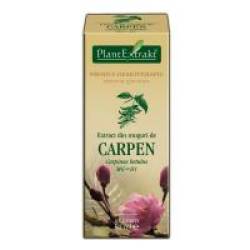 Extract din muguri de carpen - carpinus betulus mg=d1 50ml PLANTEXTRAKT