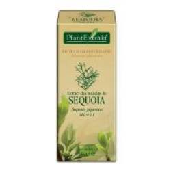 Extract din mladite de sequoia - sequoia gigantea mg=d1 50ml PLANTEXTRAKT