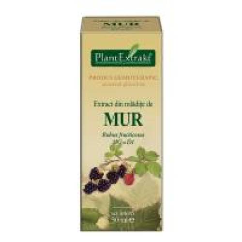 Extract din mladite de mur - rubus fructicosus mg=d1 50ml PLANTEXTRAKT