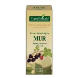 Extract din mladite de mur - rubus fructicosus mg=d1 50ml PLANTEXTRAKT
