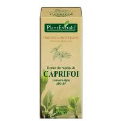Extract din mladite de caprifoi negru - lonicera nigra mg=d1 50ml PLANTEXTRAKT