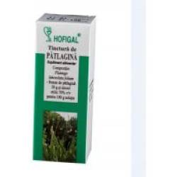 Tinctura de patlagina 50ml HOFIGAL