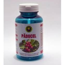 Paducel 60cps HYPERICUM