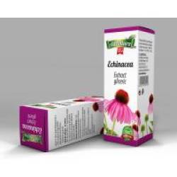 Extract gliceric de echinacea 50ml ADNATURA