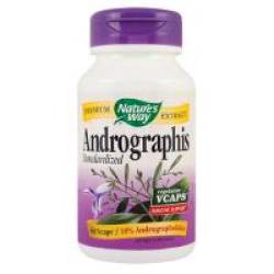 Andrographis standardized 60cps NATURES WAY