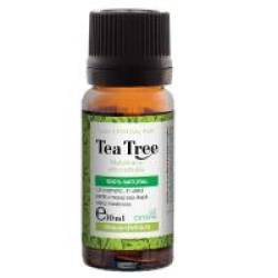 Ulei esential de tea tree 10ml STEAUA DIVINA