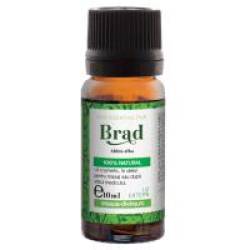 Ulei esential de brad 10ml STEAUA DIVINA