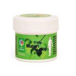 Crema din muguri de plop 40gr STEAUA DIVINA