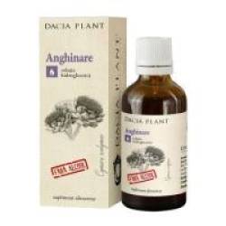 Tinctura de anghinare fara alcool 50ml DACIA PLANT