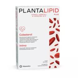 PLANTALIPID PLUS - colesterol normal, inima sanatoasa, 30 comprimate, VITACEUTICS