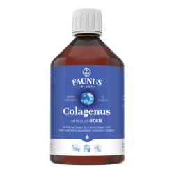Colagen hidrolizat pentru articulatii Colagenus Articulatii Forte, 500ml, Faunus Plant