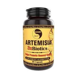 Artemisia 3 X Biotics, 40 capsule, Medica - Pro Natura