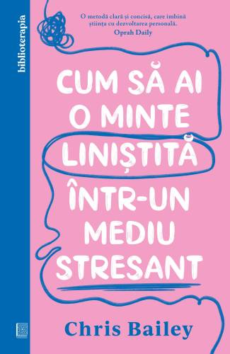 Cum sa ai o minte linistita intr-un mediu stresant, Chris Bailey - carte - Curtea Veche