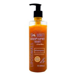 Sampon pentru toate tipurile de par, Bee Beauty Amrita Honey Therapy, 200 ml, Medica - Pro Natura