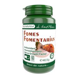Fomes Fomentarius, ciuperca cu rol antioxidant, imunostimulator, 60 capsule, Medica - Pro Natura