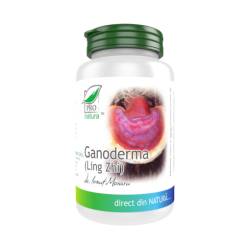 Ganoderma Ling Zhi, 60 capsule, Medica - Pro Natura