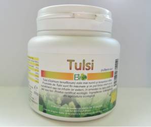 TULSI PULBERE ECO-BIO 250g, DECO ITALIA