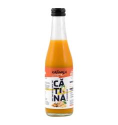 Nectar de catina cu ghimbir, eco-bio, 250 ml, Katinola