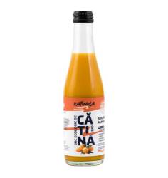 Nectar de catina cu sirop de agave, eco-bio, 250 ml, Katinola