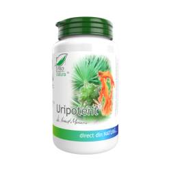 Uripotent, 60 capsule, Medica - Pro Natura