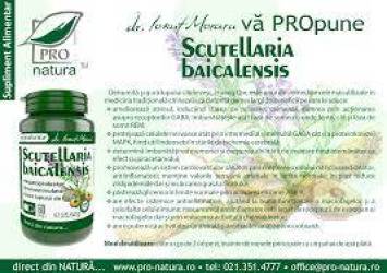 Scutellaria Baicalensis, amelioreaza stresul, 60 capsule, Medica - Pro Natura