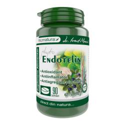 Phyto Endotelin, ajuta la mentinerea integritatii endoteliului vascular, 90 capsule, Medica - Pro Natura