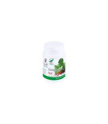 Ginkgobil Hot, 90 capsule, Medica - Pro Natura