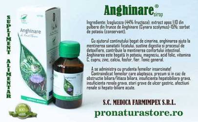 Sirop de Anghinare, ajuta la mentinerea sanatatii ficatului, 100 ml, Medica - Pro Natura