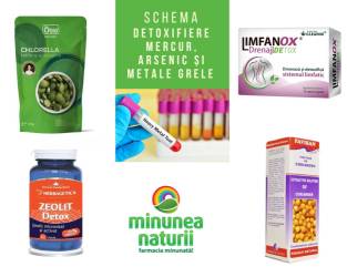 Schema detoxifiere mercur, arsenic si metale grele