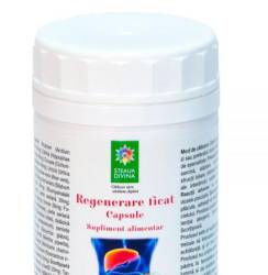 Regenerare ficat, 90cps - Steaua Divina