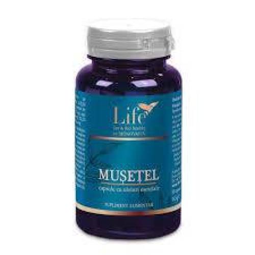 Musetel, capsule cu uleiuri esentiale, 30 capsule, Bionativ - DVR Pharm